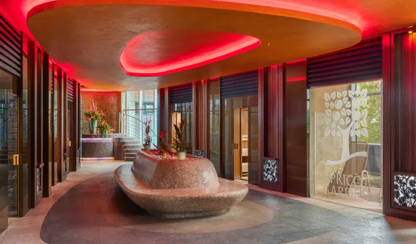 Four Points by Sheraton Kecskem�t Hotel & Konferenciak�zpont Kecskem�t - Augusztus 20.