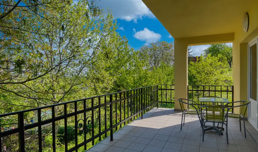 Fried Kast�ly Hotel Simontornya - Augusztus 20. (min. 3 �j)