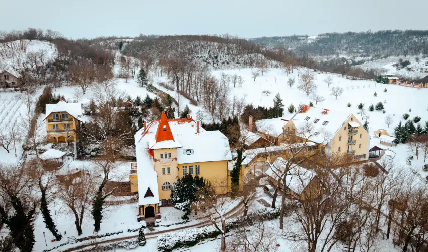 Fried Kast�ly Hotel Simontornya - Augusztus 20. (min. 3 �j)