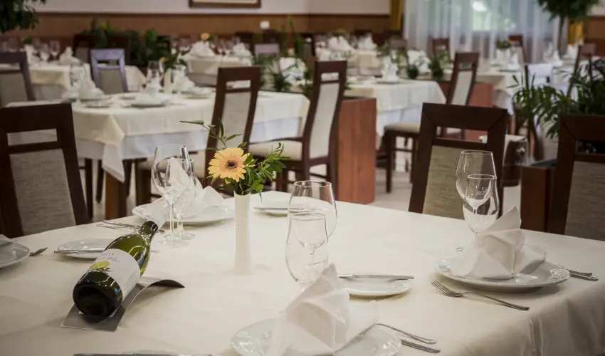 Garden Hotel Wellness & Konferencia Szolnok - Édeskettes romantika (min. 2 éj)