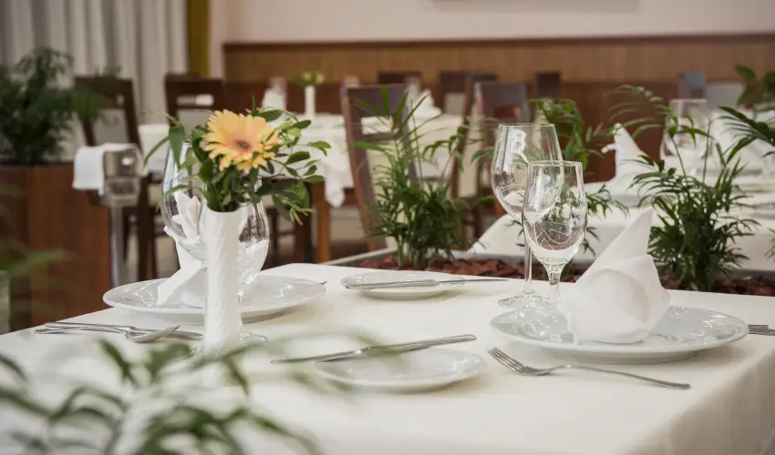 Garden Hotel Wellness & Konferencia Szolnok - Édeskettes romantika (min. 2 éj)