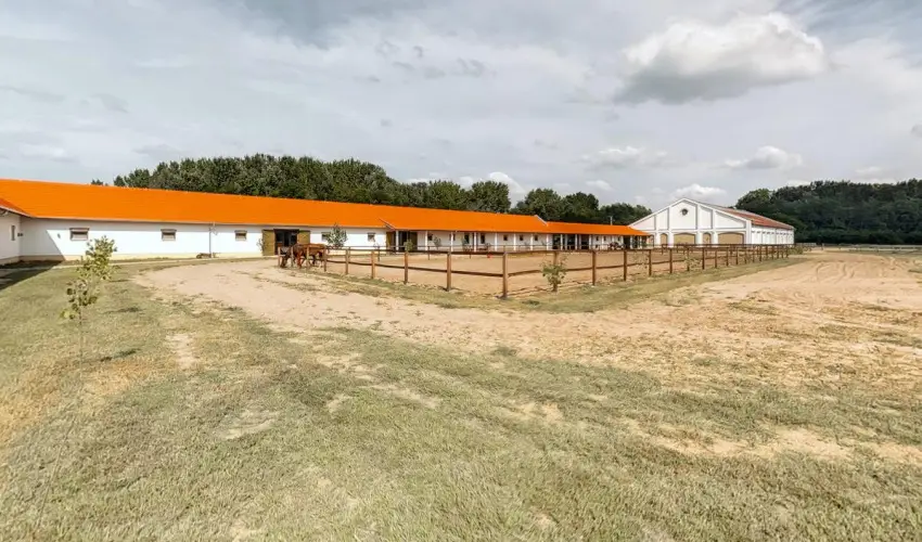 Gerby Kria Hotel s Lovasudvar Lajosmizse - Augusztus 20.