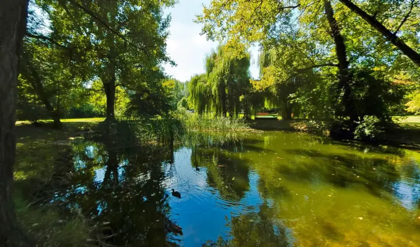 Gerby Kria Hotel s Lovasudvar Lajosmizse - Augusztus 20.