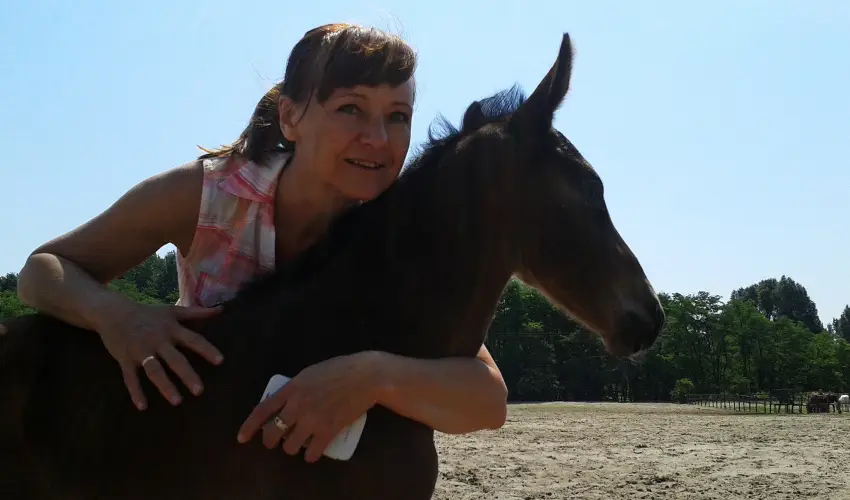 Gerby Kria Hotel s Lovasudvar Lajosmizse - Augusztus 20.