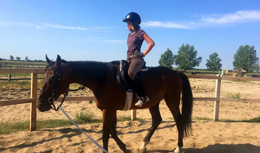 Gerby Kria Hotel s Lovasudvar Lajosmizse - Augusztus 20.