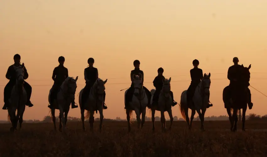 Gerby Kria Hotel s Lovasudvar Lajosmizse - Augusztus 20.