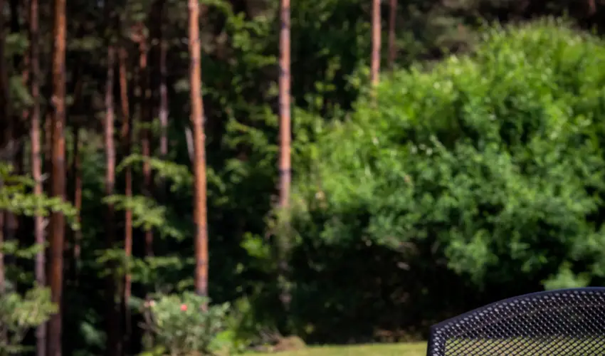 Gosztola Gy�ngye-az erd� sz�llod�ja Gosztola - Augusztus 20.