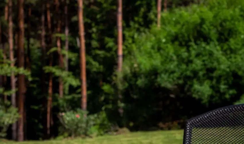 Gosztola Gy�ngye-az erd� sz�llod�ja Gosztola - Augusztus 20.