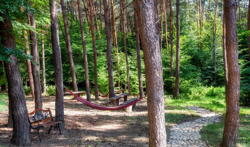 Gosztola Gy�ngye-az erd� sz�llod�ja Gosztola - Augusztus 20.