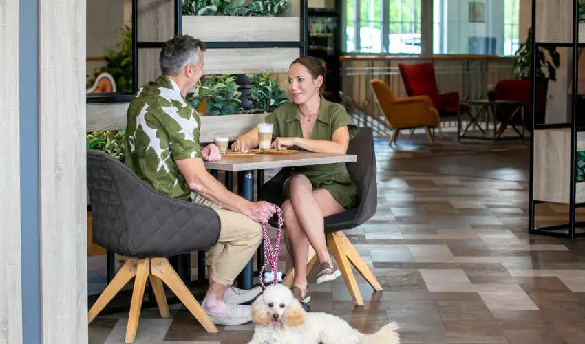 Gotthard Therme Hotel & Conference Szentgotthrd - Augusztus 20. - teljes elrefizetssel