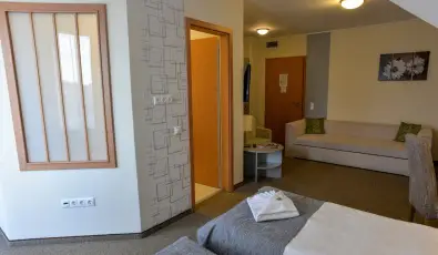 Granada Konferencia Wellness �s Sport Hotel Kecskem�t