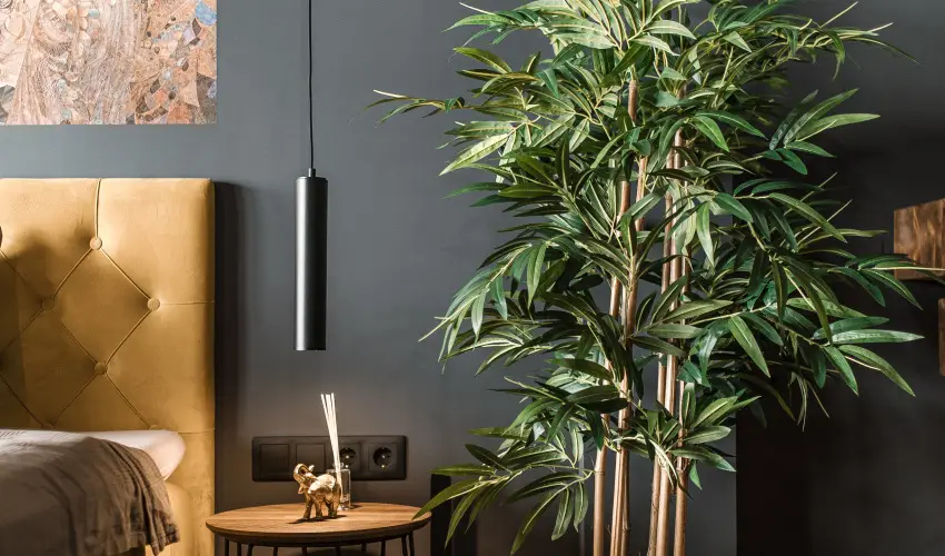 Greyhouse Apartments Hark�ny - Augusztus 20.
