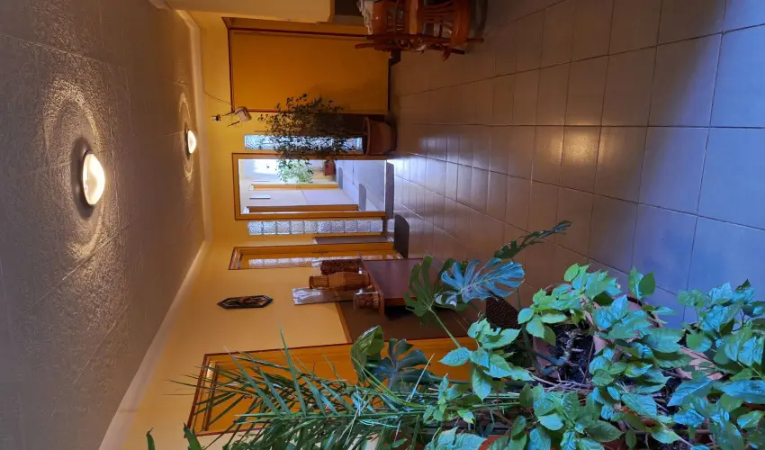 Grill Terasz �tterem �s Sz�ll�shely Mez�k�vesd - Augusztus 20.