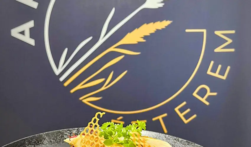 Gyirmót Sport & Wellness Hotel Győr - Augusztus 20.