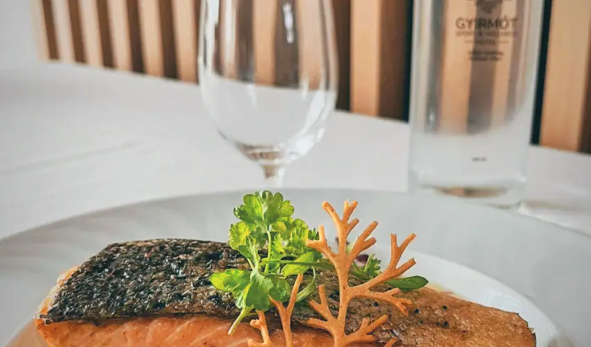 Gyirmót Sport & Wellness Hotel Győr - Augusztus 20.