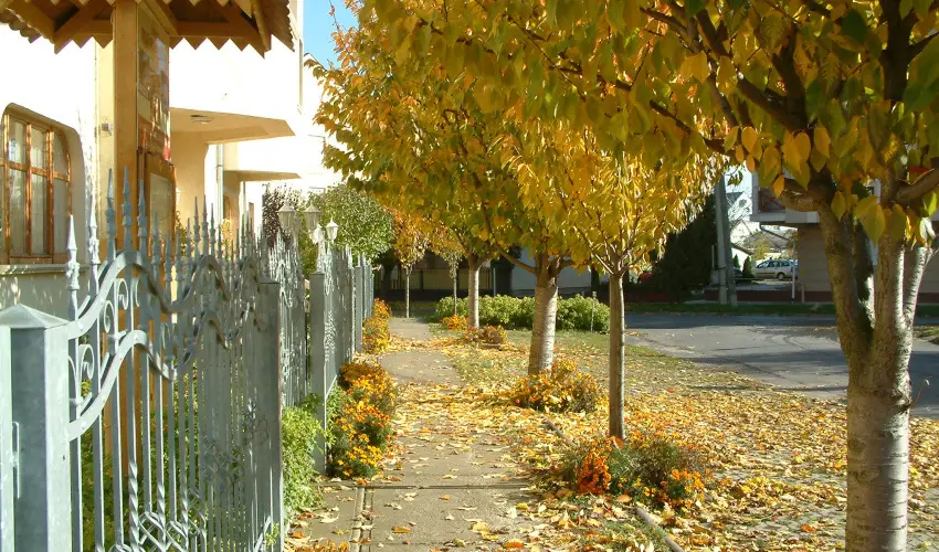 Hajd� Kast�ly Hotel Hajd�szoboszl� - Augusztus 20. (min. 2 �j)