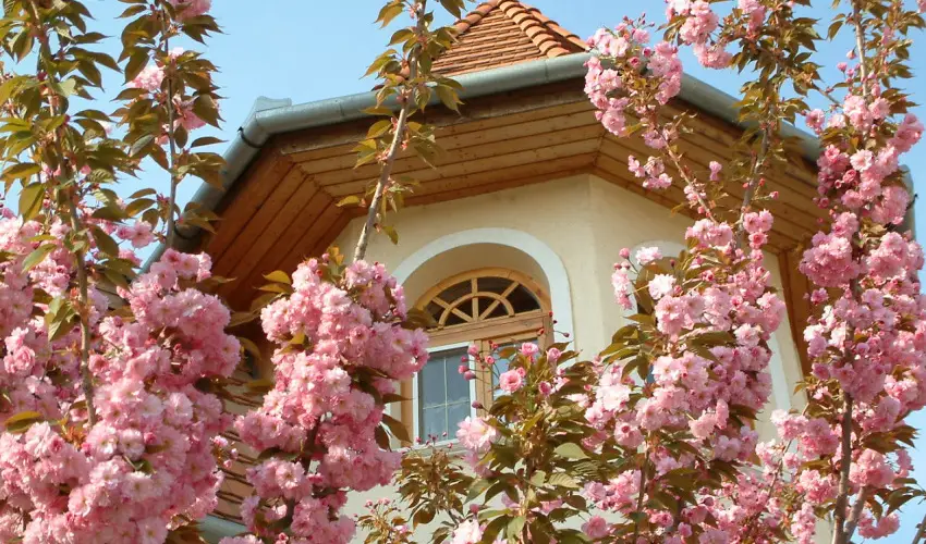 Hajd� Kast�ly Hotel Hajd�szoboszl� - Augusztus 20. (min. 2 �j)