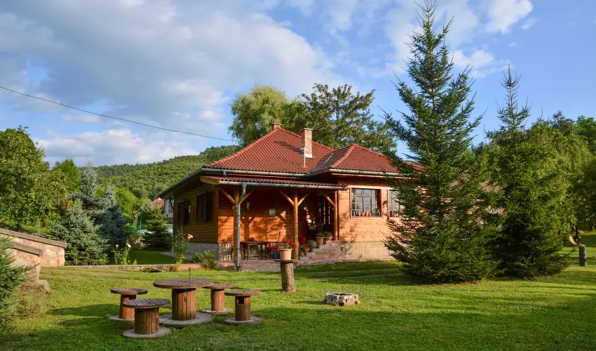 Halhza Vendghz Sirok - Augusztus 20. (min. 3 j)