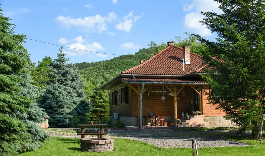 Halhza Vendghz Sirok - Augusztus 20. (min. 3 j)