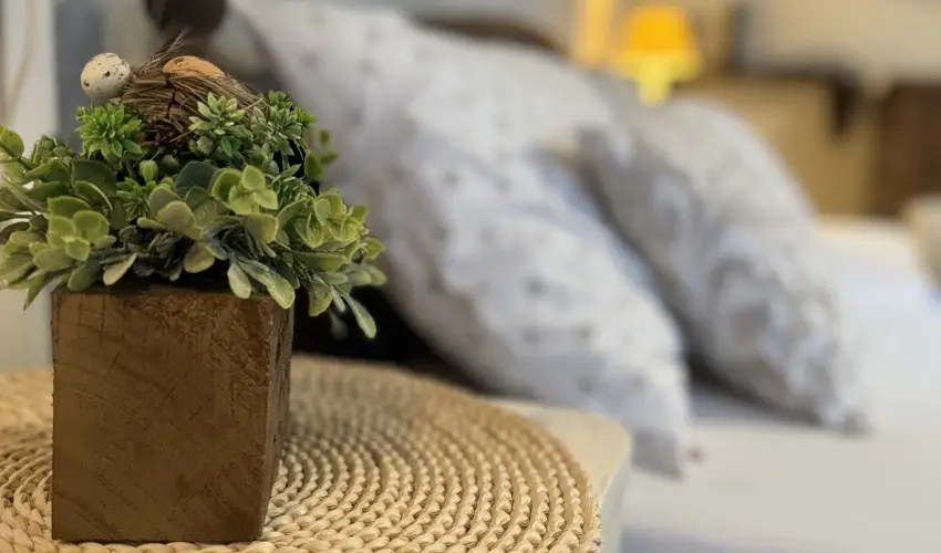 Halhza Vendghz Sirok - Augusztus 20. (min. 3 j)