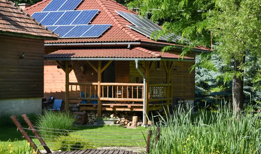 Halhza Vendghz Sirok - Augusztus 20. (min. 3 j)