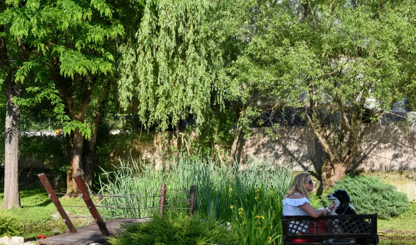 Halhza Vendghz Sirok - Augusztus 20. (min. 3 j)