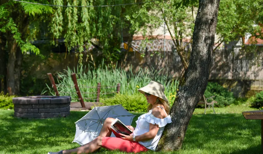 Halhza Vendghz Sirok - Augusztus 20. (min. 3 j)