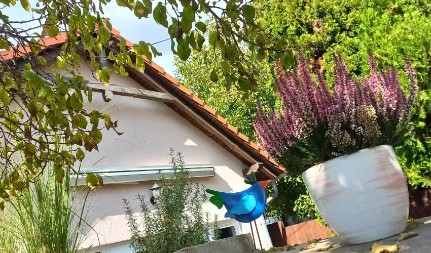 Hanga-lak Velence - Augusztus 20. (min. 2 j)