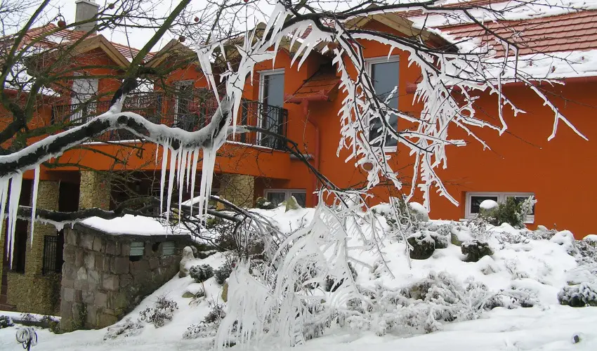 Aliz Villa Szilv�sv�rad - Augusztus 20. (min. 2 �j)