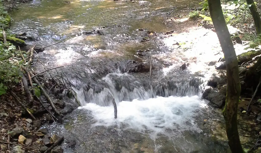 Aliz Villa Szilv�sv�rad - Augusztus 20. (min. 2 �j)