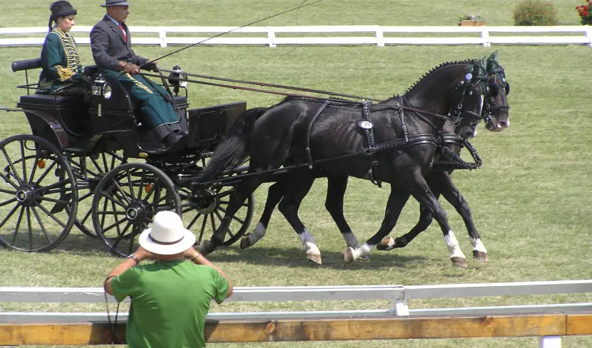 Aliz Villa Szilv�sv�rad - Augusztus 20. (min. 2 �j)