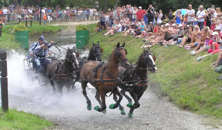 Aliz Villa Szilv�sv�rad - Augusztus 20. (min. 2 �j)