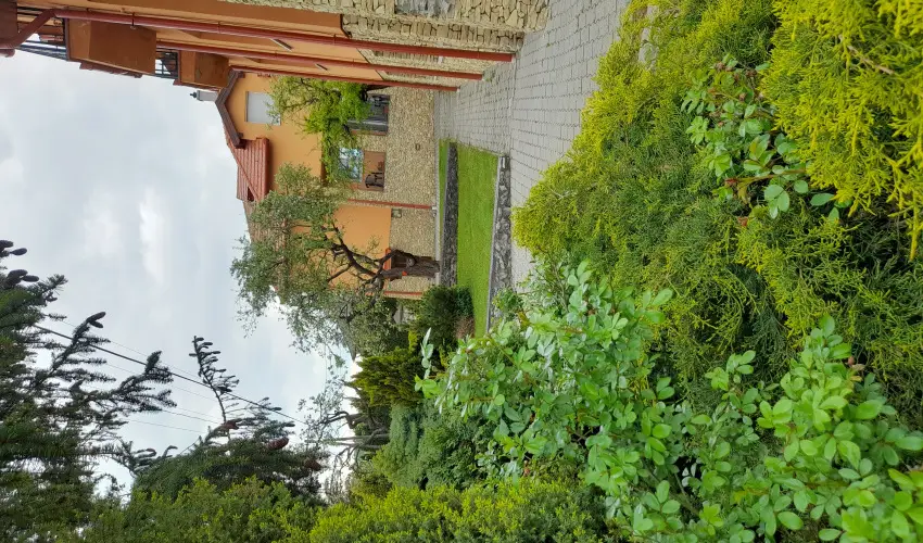 Aliz Villa Szilv�sv�rad - Augusztus 20. (min. 2 �j)