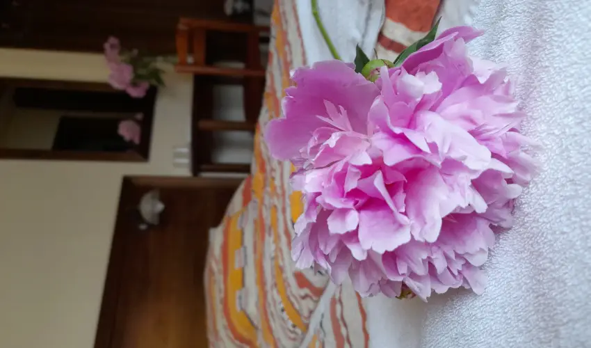 Aliz Villa Szilv�sv�rad - Augusztus 20. (min. 2 �j)