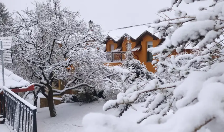 Aliz Villa Szilv�sv�rad - Augusztus 20. (min. 2 �j)