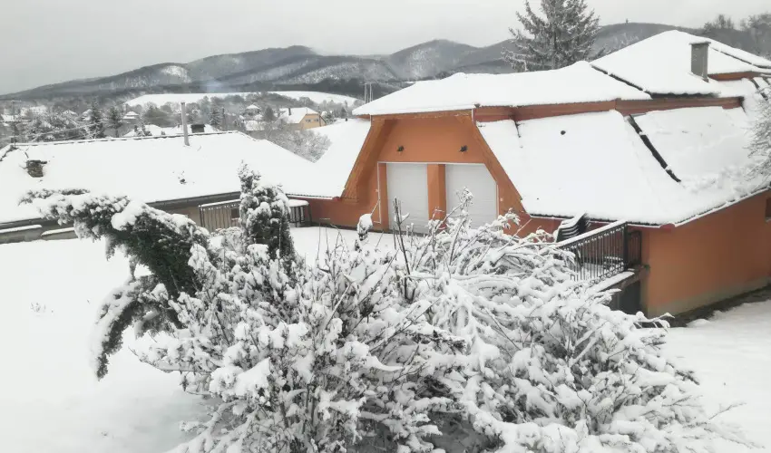 Aliz Villa Szilv�sv�rad - Augusztus 20. (min. 2 �j)