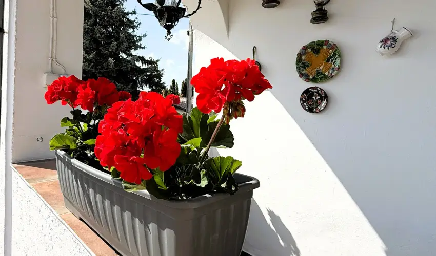 Harmony Vend�gh�z Egerszal�k - Augusztus 20.