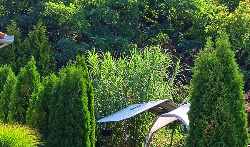 Harmony Vend�gh�z Egerszal�k - Augusztus 20.