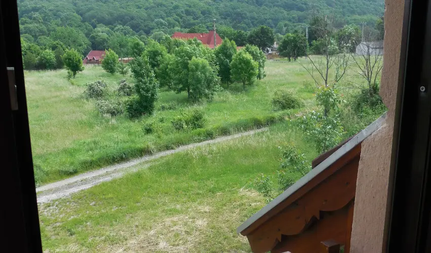 Hegyi Panzi Szilvsvrad - Augusztus 20. (min. 3 j)