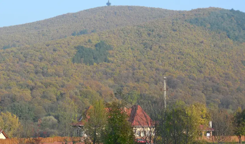 Hegyi Panzi Szilvsvrad - Augusztus 20. (min. 3 j)