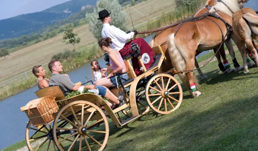 H�tk�ti Wellness Hotel & Lovaspark M�r - Augusztus 20.