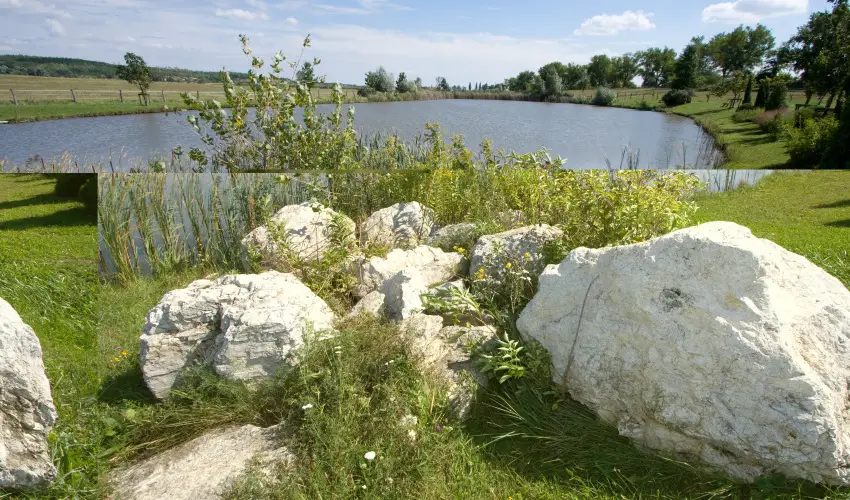 H�tk�ti Wellness Hotel & Lovaspark M�r - Augusztus 20.