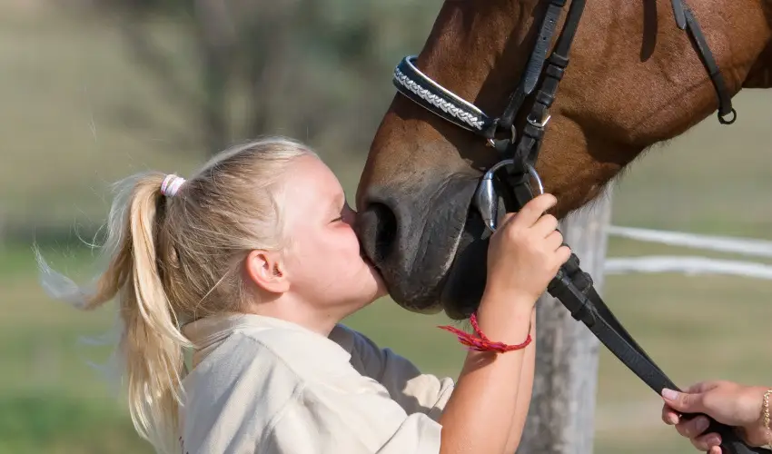 H�tk�ti Wellness Hotel & Lovaspark M�r - Augusztus 20.