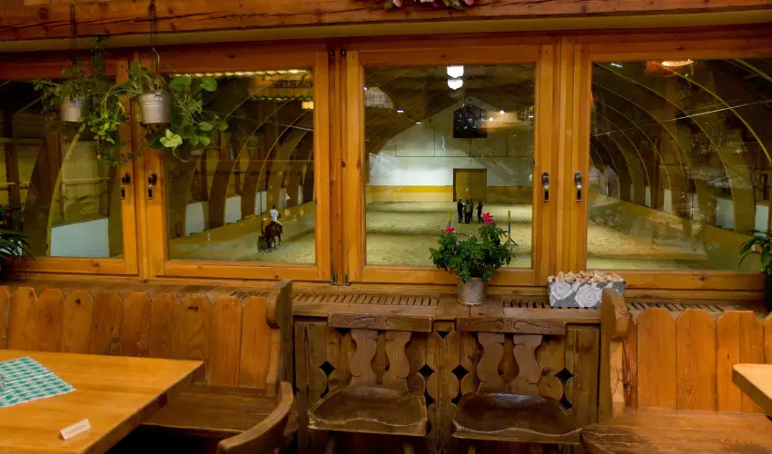 H�tk�ti Wellness Hotel & Lovaspark M�r - Augusztus 20.