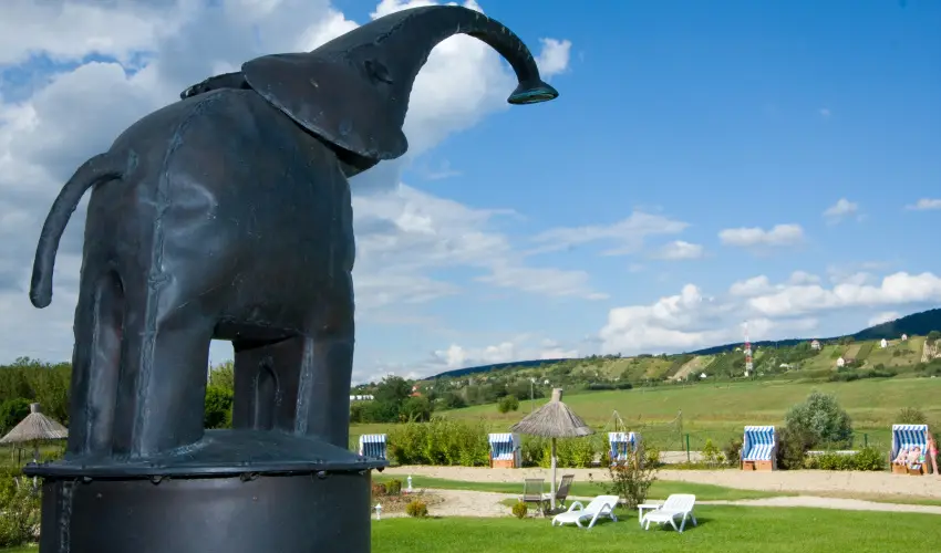 H�tk�ti Wellness Hotel & Lovaspark M�r - Augusztus 20.