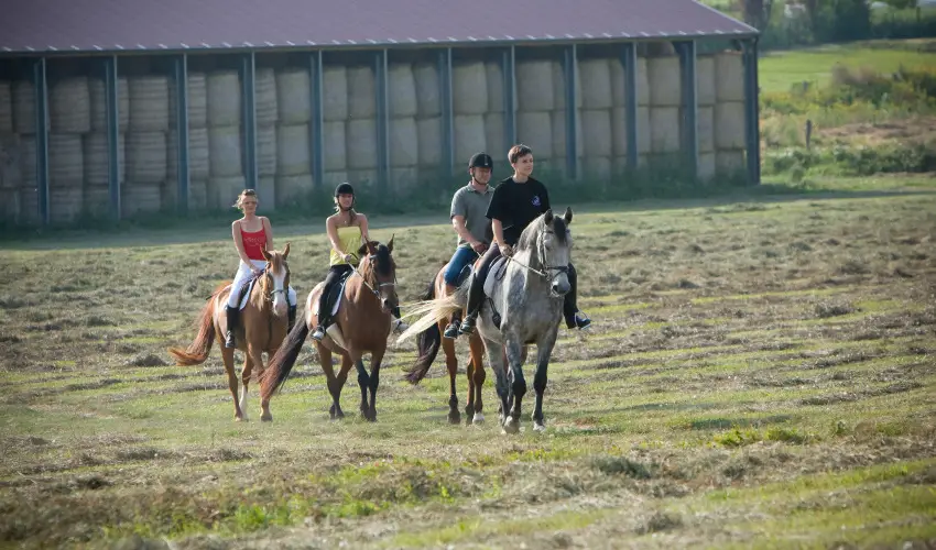 H�tk�ti Wellness Hotel & Lovaspark M�r - Augusztus 20.