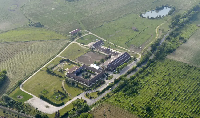 H�tk�ti Wellness Hotel & Lovaspark M�r - Augusztus 20.