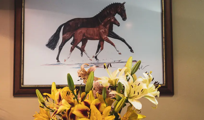 H�tk�ti Wellness Hotel & Lovaspark M�r - Augusztus 20.