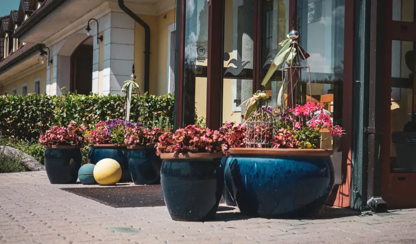 H�tk�ti Wellness Hotel & Lovaspark M�r - Augusztus 20.