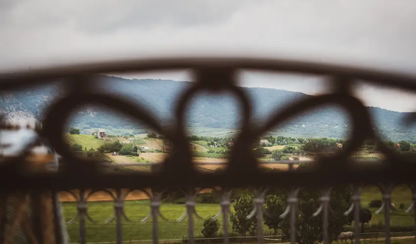 H�tk�ti Wellness Hotel & Lovaspark M�r - Augusztus 20.